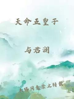 天命五皇子
